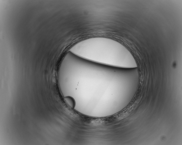 X0000100190470200805300728