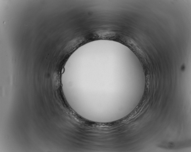 X0000100190471200805300729