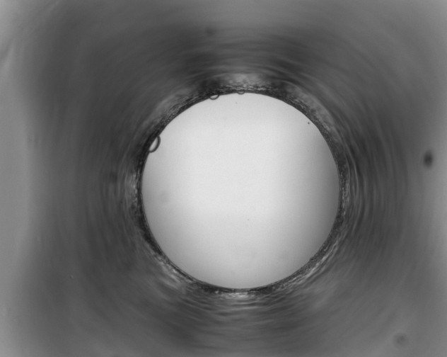 X0000100190473200805300729