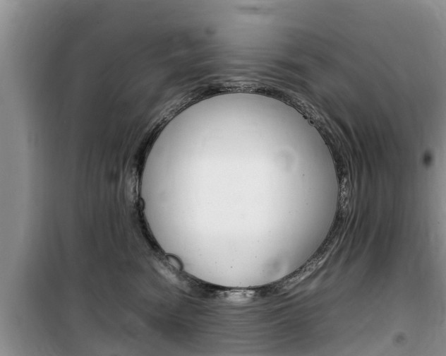 X0000100190474200805300729