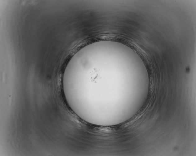 X0000100190475200805300729