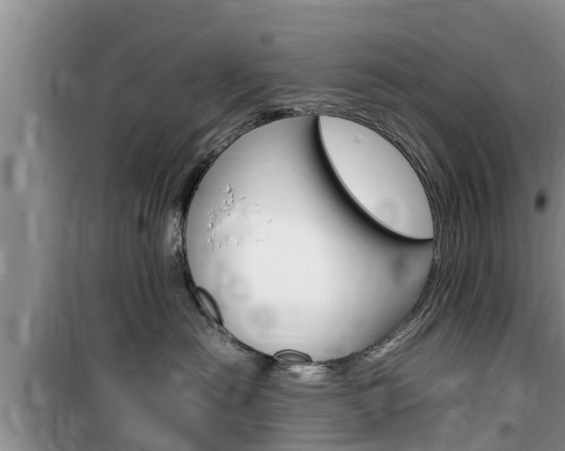 X0000100190478200805300729