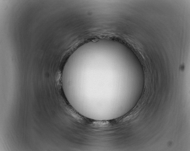 X0000100190480200805300729