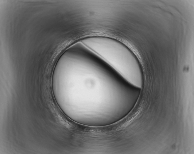 X0000100190481200805300728