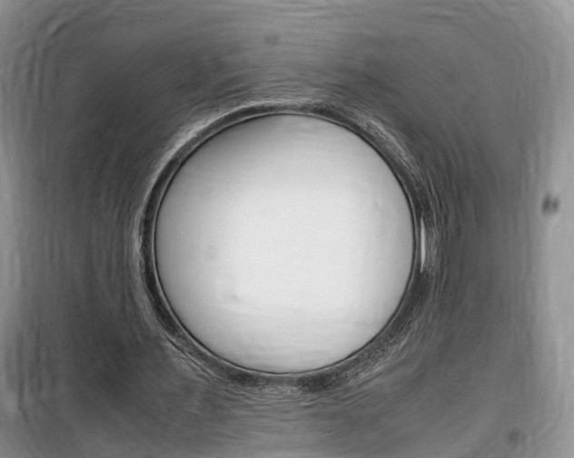 X0000100190483200805300728