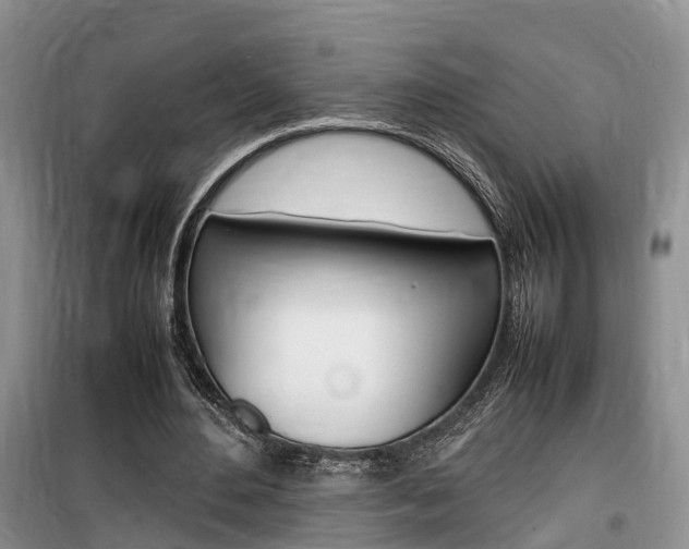 X0000100190484200805300728