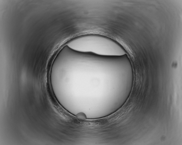 X0000100190486200805300728