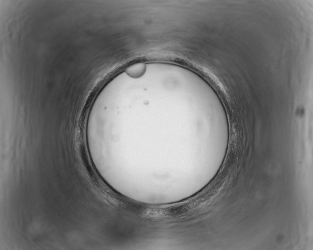 X0000100190487200805300728