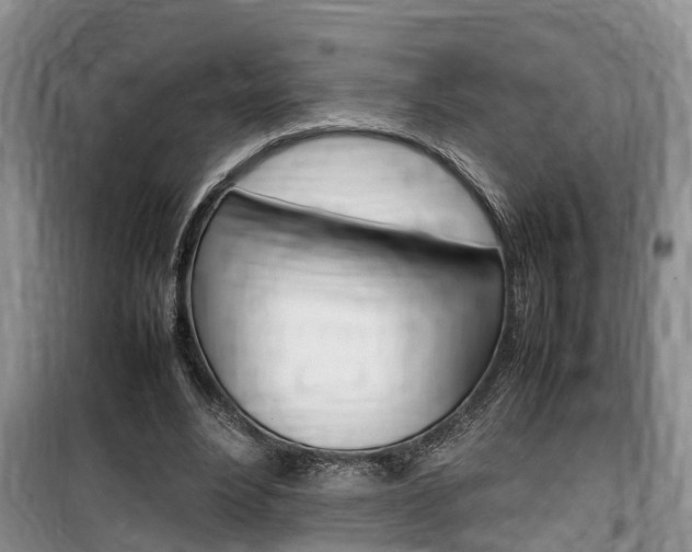 X0000100190488200805300728