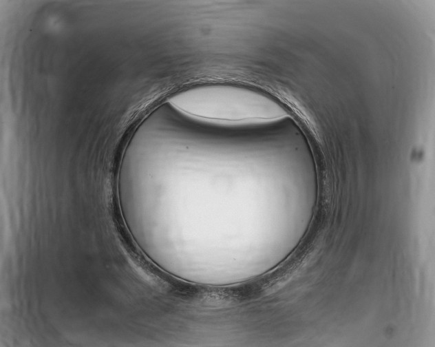 X0000100190489200805300728