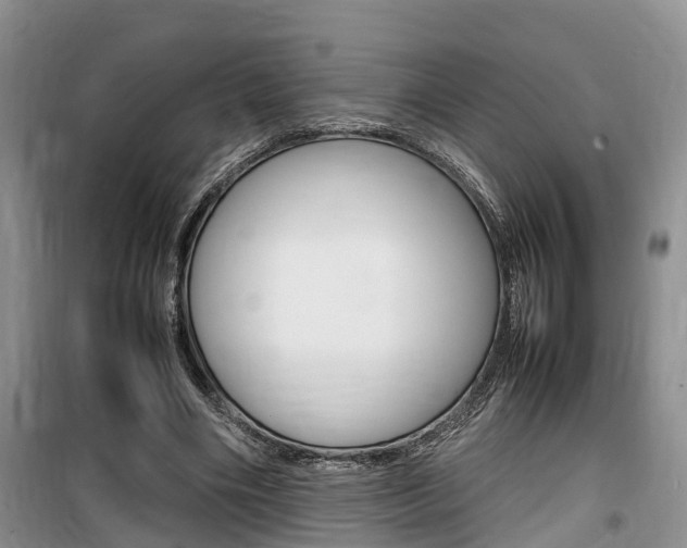 X0000100190490200805300728