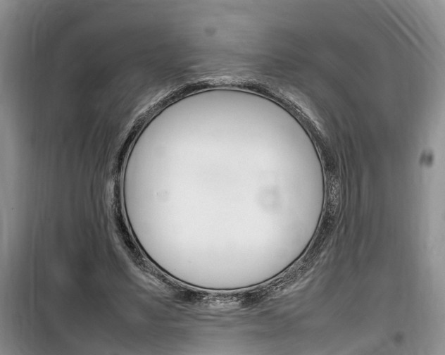 X0000100190491200805300728
