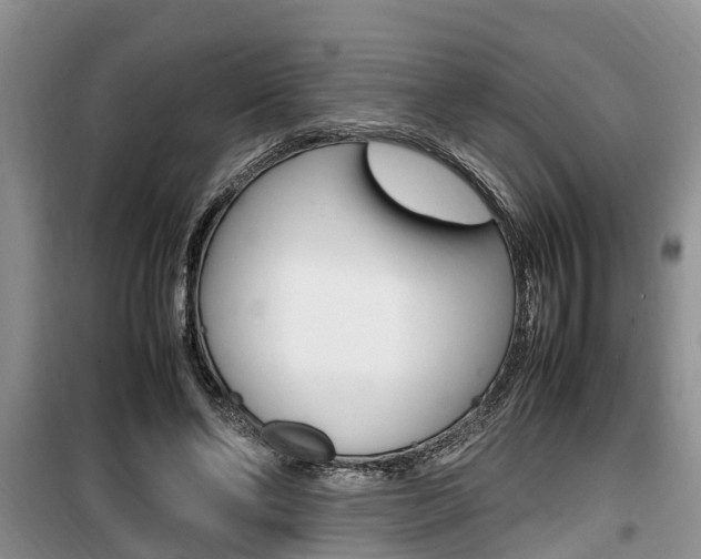 X0000100190494200805300728