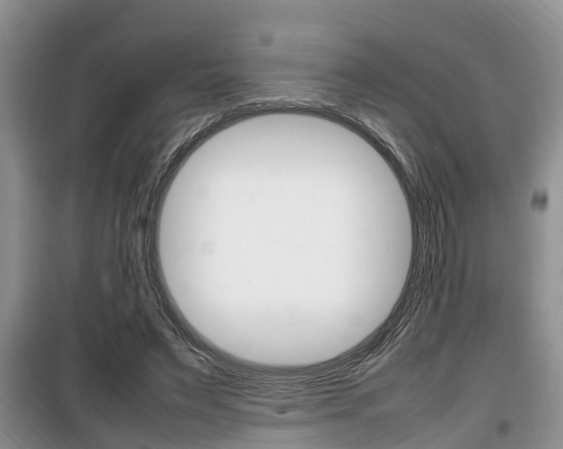 X0000100190495200805300728