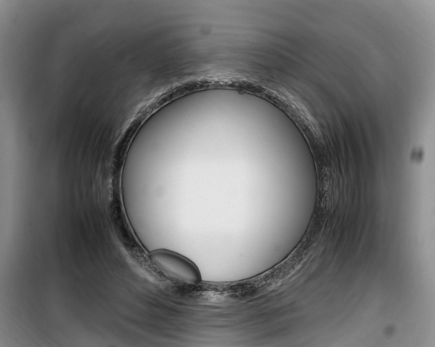X0000100190496200805300728