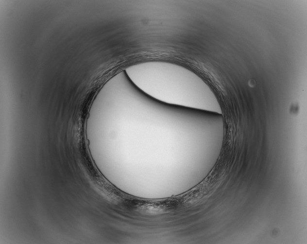 X0000100190498200805300728