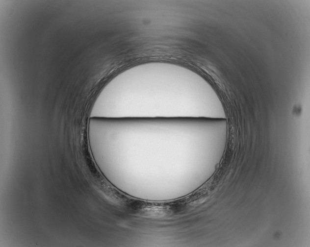 X0000100190499200805300728