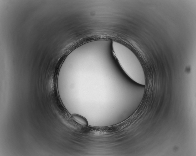 X0000100190500200805300728