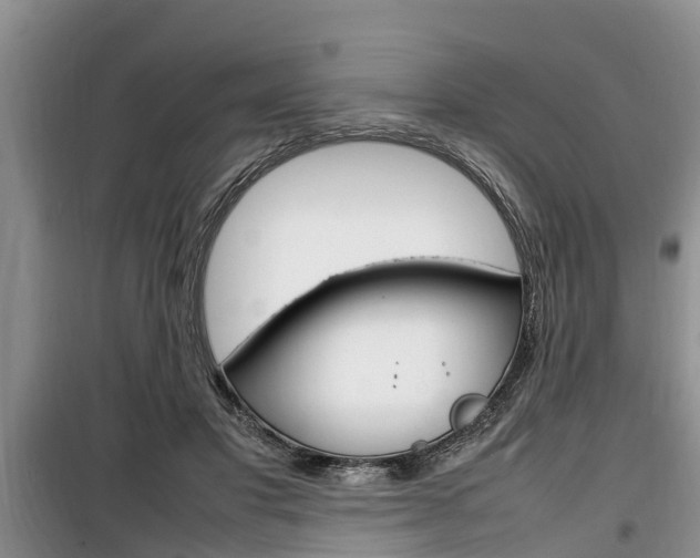 X0000100190501200805300728