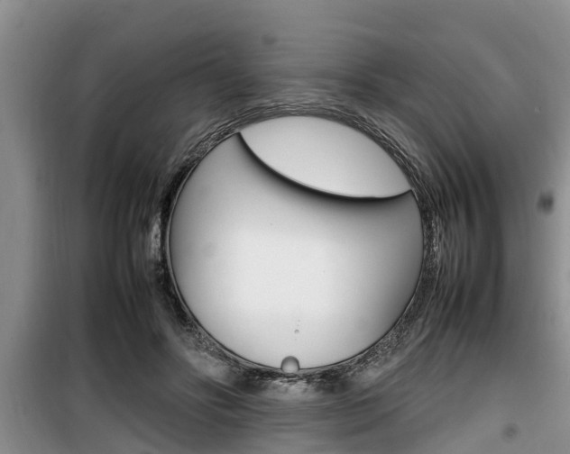 X0000100190502200805300728