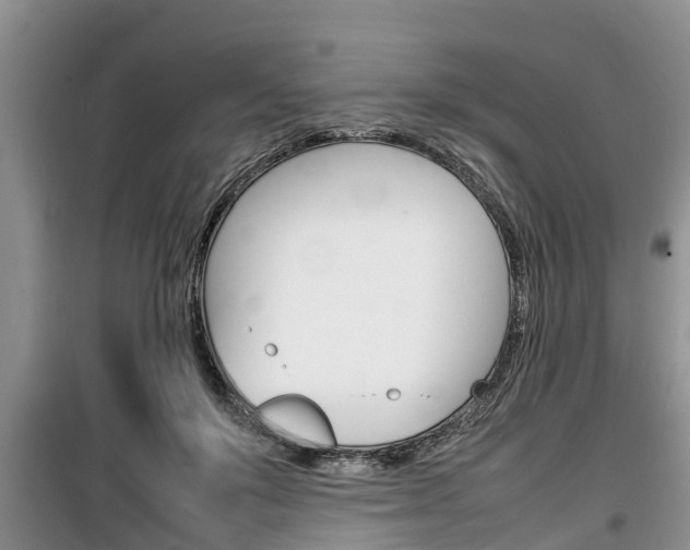 X0000100190503200805300728