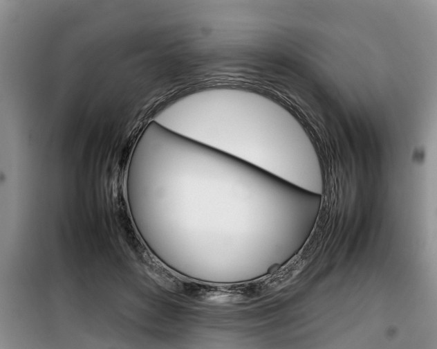 X0000100190504200805300728