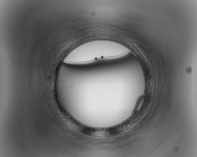 X0000100190505200805300728