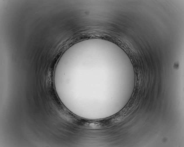 X0000100190506200805300728