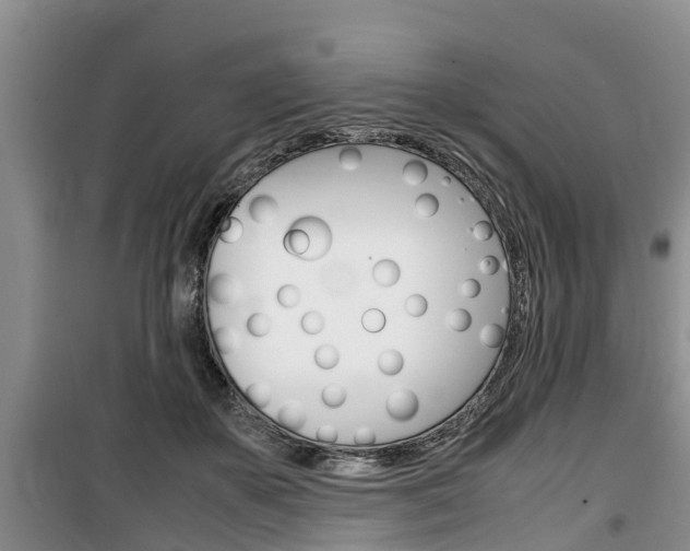 X0000100190507200805300728
