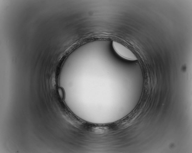 X0000100190508200805300727