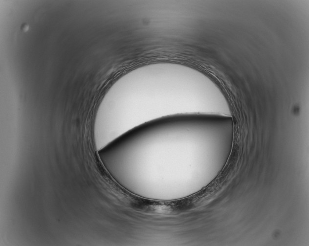 X0000100190509200805300727