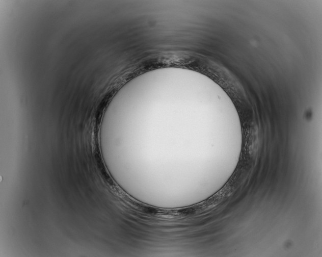 X0000100190510200805300727