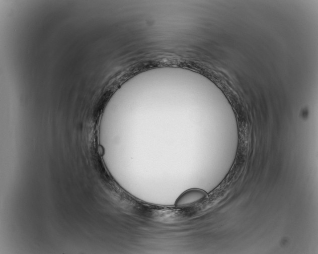 X0000100190511200805300727