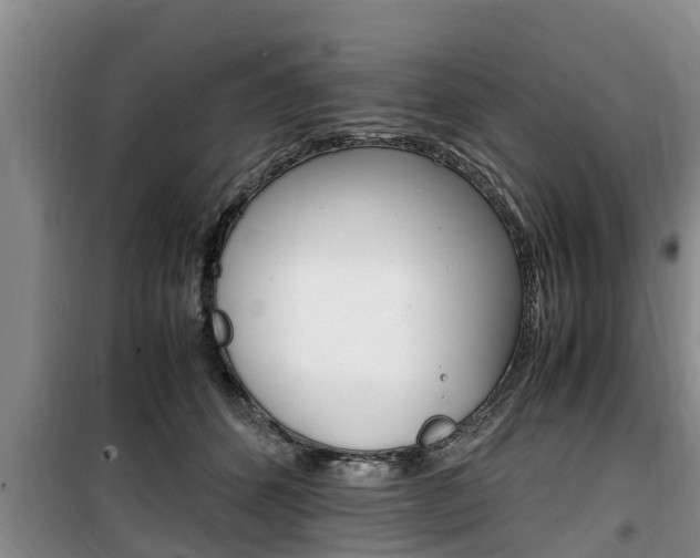 X0000100190512200805300727