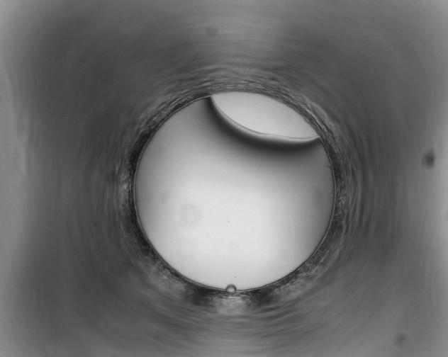 X0000100190513200805300727