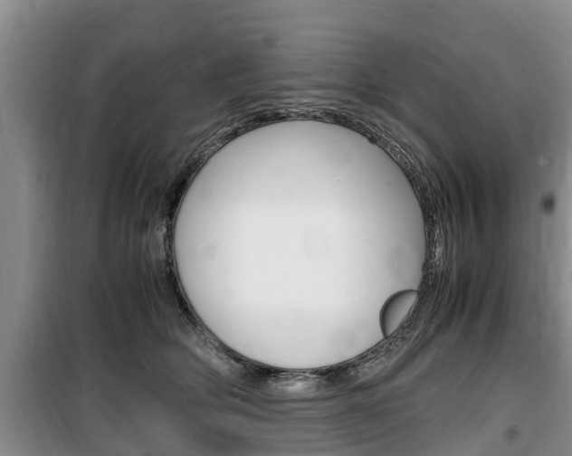 X0000100190514200805300727