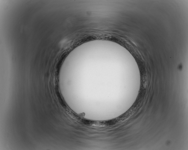 X0000100190515200805300727