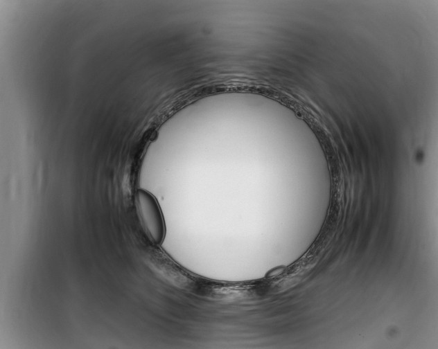 X0000100190516200805300727