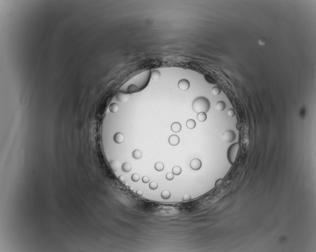 X0000100190519200805300727