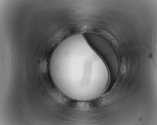 X0000100190520200805300727