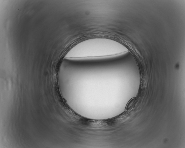 X0000100190521200805300727