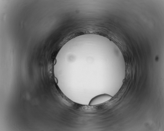 X0000100190526200805300727