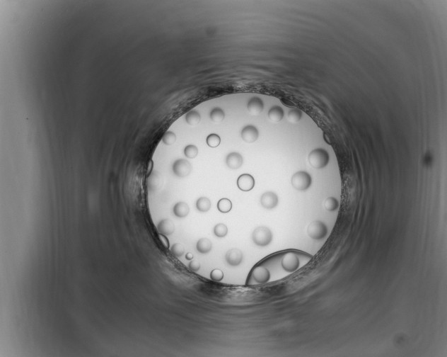 X0000100190527200805300727