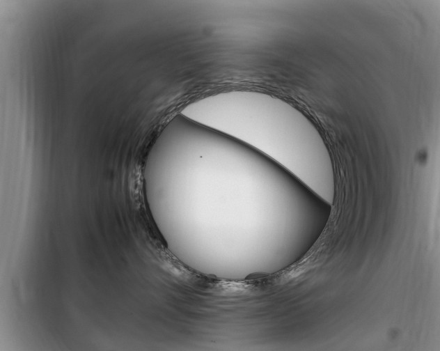 X0000100190528200805300727