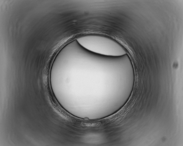 X0000100190533200805300727
