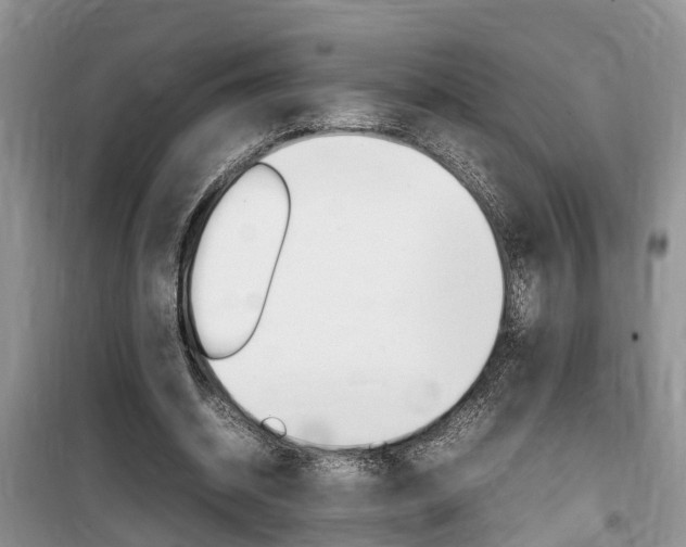 X0000100190534200805300727