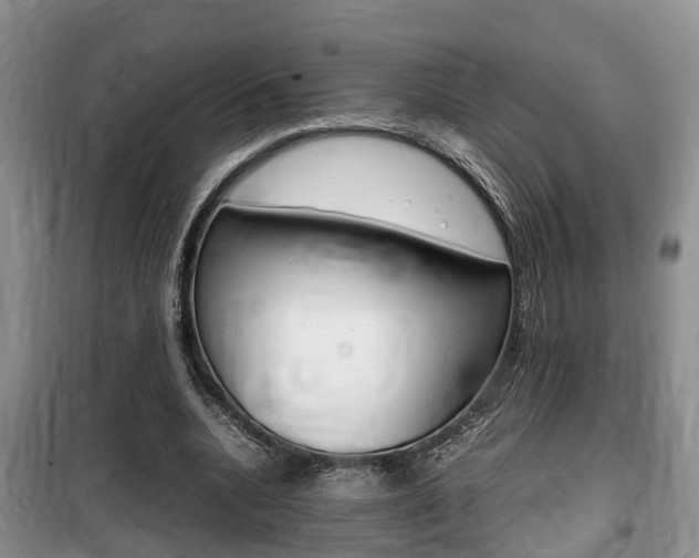 X0000100190536200805300727