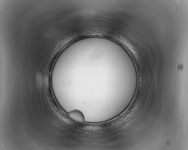 X0000100190537200805300727