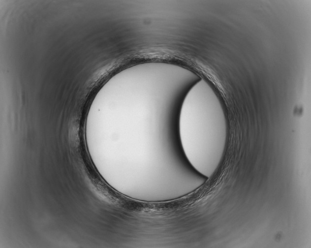 X0000100190538200805300727