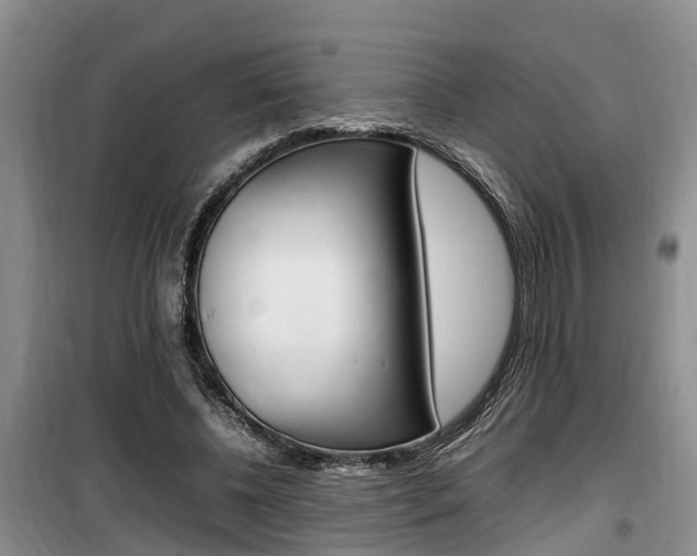 X0000100190540200805300727